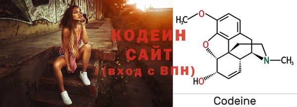 молекула духа Богородск