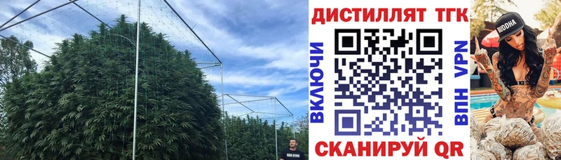 Дистиллят ТГК концентрат  Володарск 