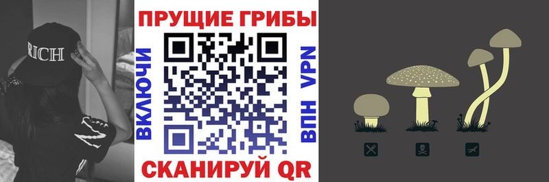 Псилоцибиновые грибы Psilocybe  Володарск 
