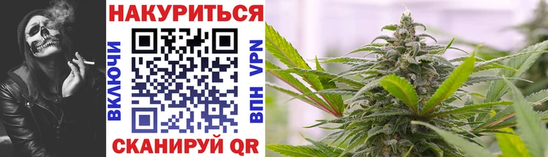 Конопля планчик  Володарск 